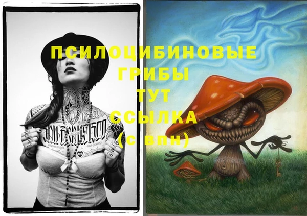 твердый Пестово