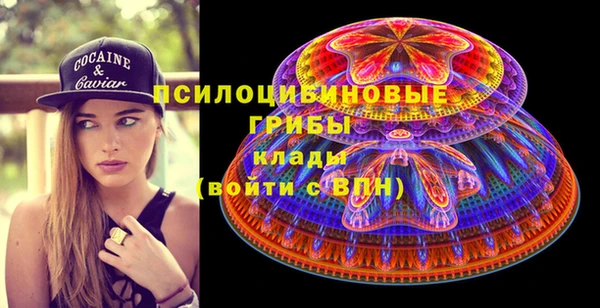 трава Белокуриха