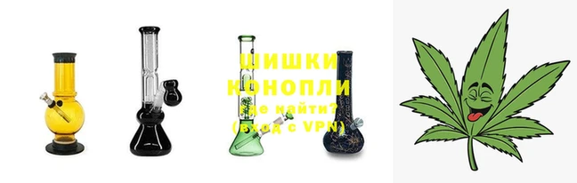 трава Белокуриха