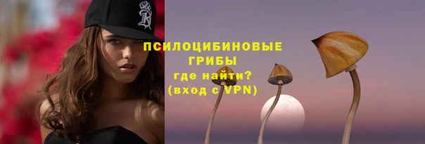 амф Беломорск
