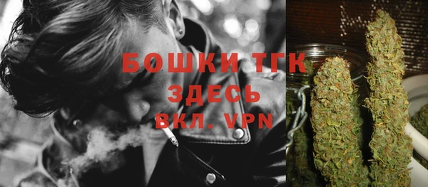 трава Белокуриха
