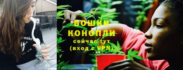 трава Белокуриха