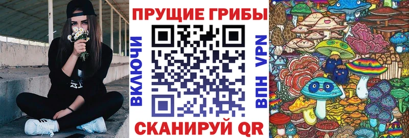 Галлюциногенные грибы мицелий  Плёс 